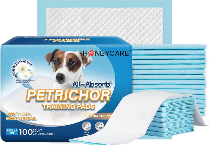 All-Absorb, Small 17.5" X 23.5", 120 Count, Dog and Puppy Training Pads, Ultra Absorbent and Odor Eliminating, Leak-Proof 5-Layer Potty Training Pads with Quick-Dry Surface, Blue, A05