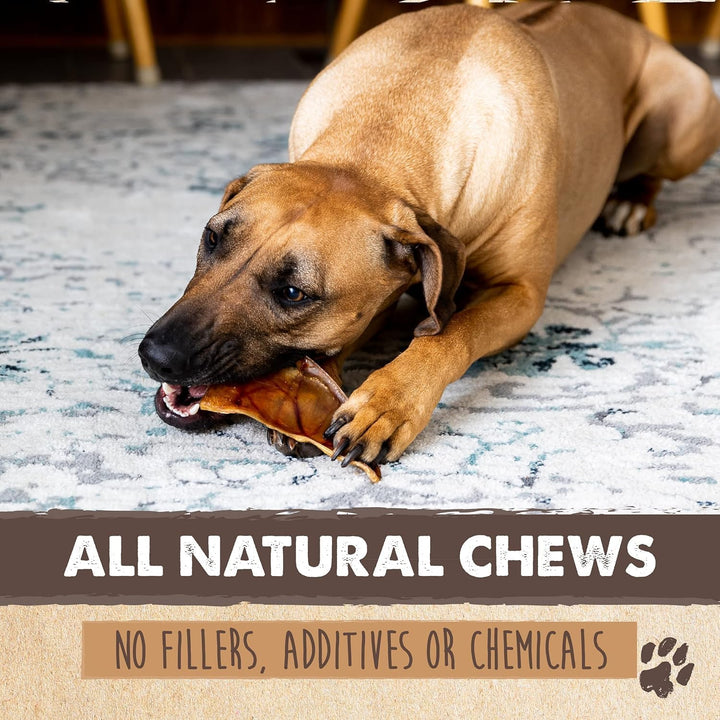 Half Pig Ears for Dogs - All Natural, Single Ingredient Treats. Better than Rawhide Pet Snacks for Small and Large/Medium Pets. Pigs Ear Dogs Chews (12 Pack)