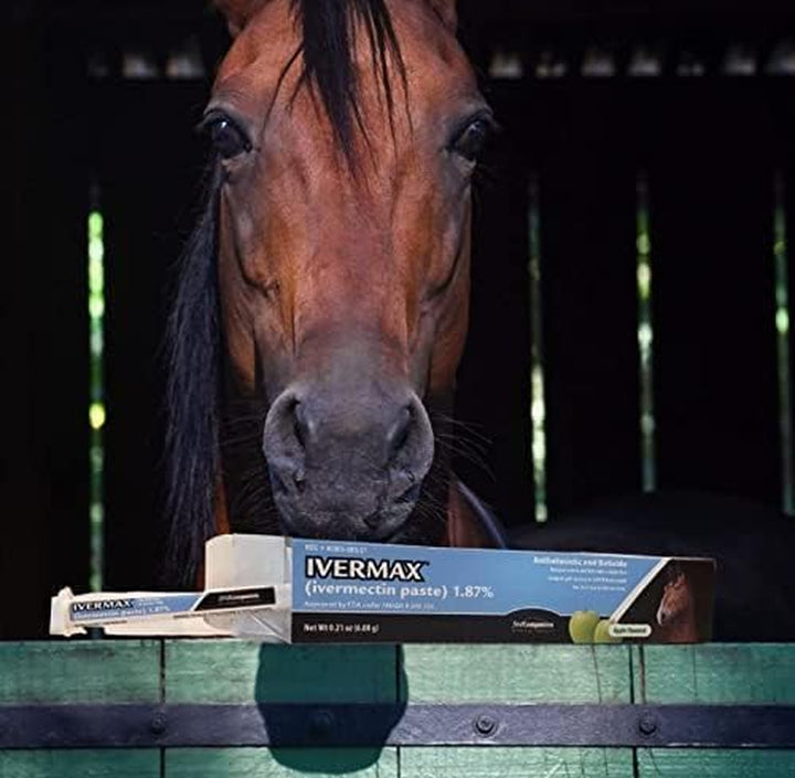 Ivermax (Ivermectin) Equine Paste 6.08 Gram 1 Pack, Blue