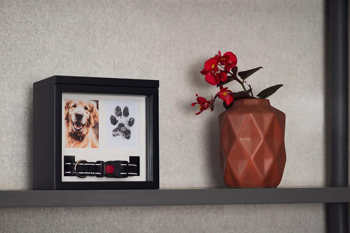 Large Dog Urn for Ashes, 4 Customizable Displays with Paw Print Ink Kit, 8.5X8.5X5.8 Pet Urns for Dogs Ashes, Pet Cremation Box, Cat Urn for Ashes, Dog Ashes Keepsake