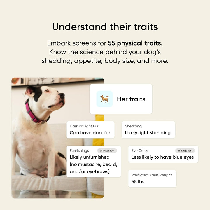 Breed & Health Kit - Dog DNA Testing Kit - Discover Breed, Ancestry, Relative Finder, Genetic Health, Traits, Allergy Risk Scores