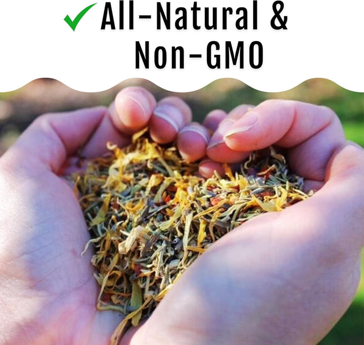 Herb Supplement for Backyard Chickens - Natural Chicken Treats, Poultry Feed Botanical Mix, Plant-Based Coop Snacks for Daily Wellness, Feather Quality, Egg Production, USA (12 Oz)