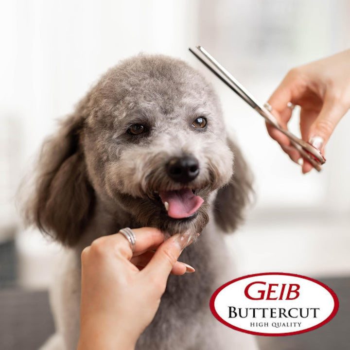 Gator Stainless Steel Pet Curved Shears, 8-1/2-Inch