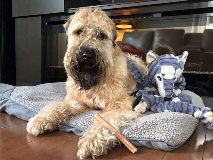 Premium 6 Inch Standard Odor-Free Bully Sticks for Small to Medium Dogs & Puppies - Long Lasting Chews for Oral Care - All Natural, 100% Beef Dog Treats, Rawhide Free (5 Pack)