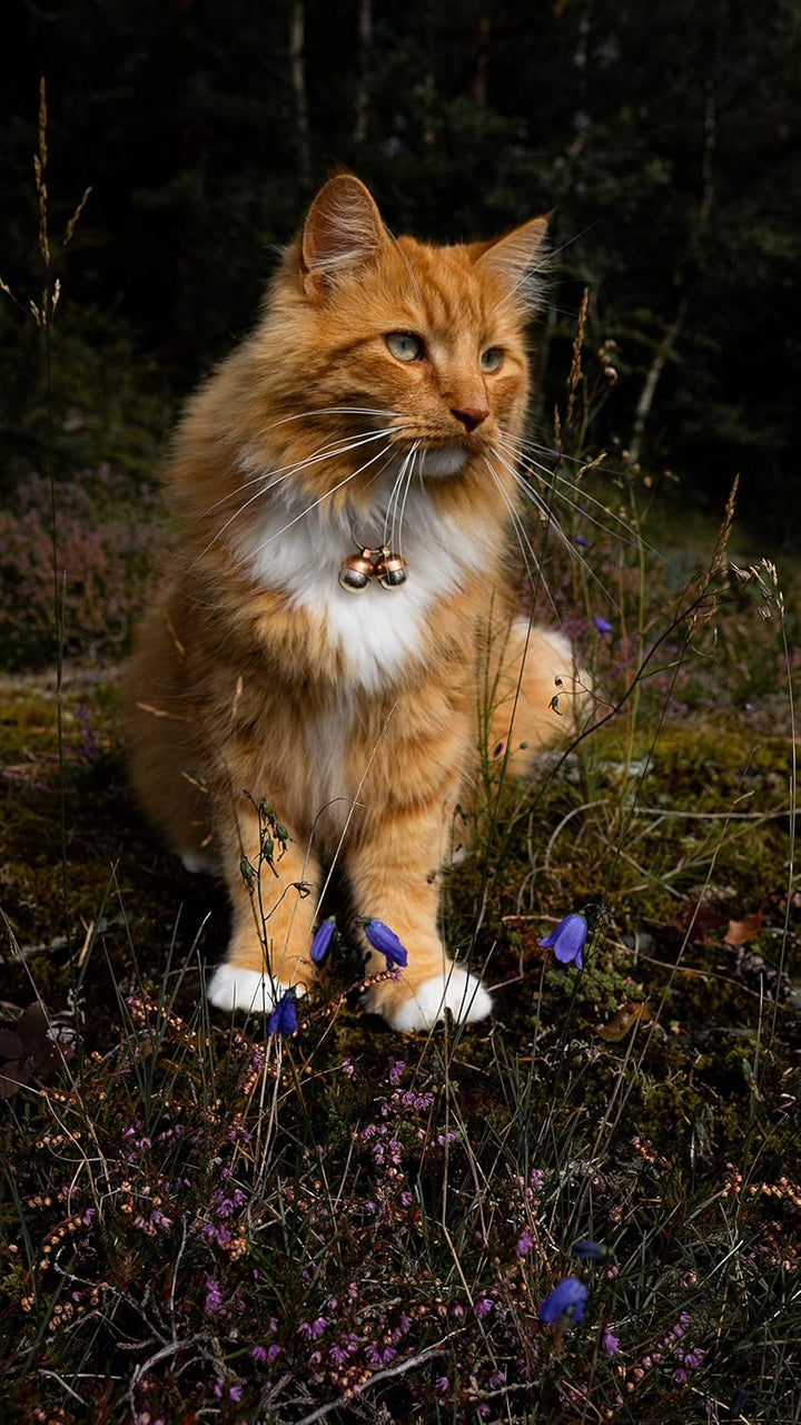 2 Extra Loud Cat & Dog Bells | Pet Tracker | save Birds & Wildlife | Luxury Handmade Copper (Small)