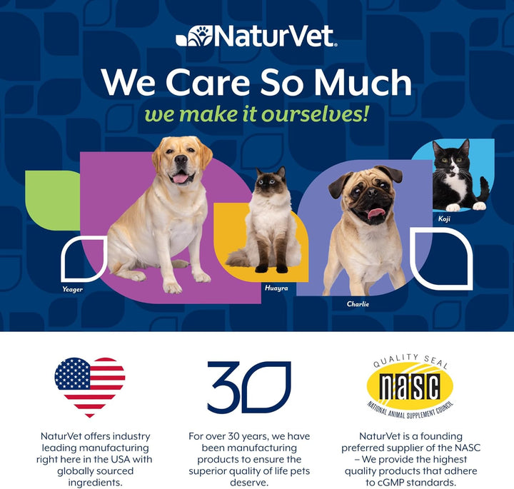 - No Scoot for Dogs - 60 Soft Chews - plus Pumpkin - Supports Healthy Anal Gland & Bowel Function - Enhanced with Beet Pulp & Psyllium Husk