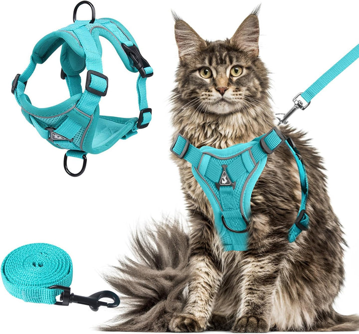Cat Chest Harness and Leash, Anti-Escape Adjustable Soft Mesh Cat Leash and Chest Harness Set for All Types of Cats Cat Vests (Grey, 11.02-16.5Lb)