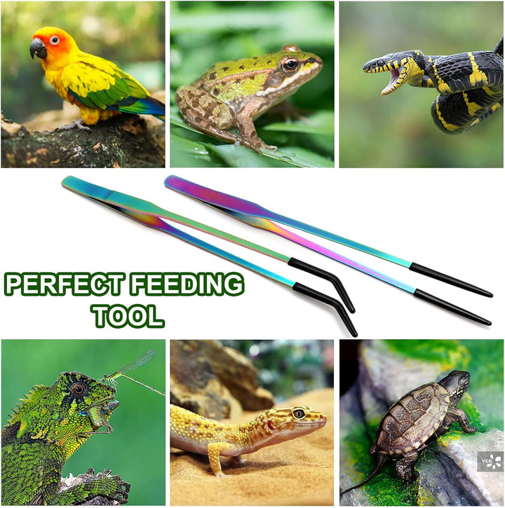 Stainless Steel Reptile Feeding Tongs with Rubber Tip - 10.6" Straight & Curved Tweezers for Aquariums & Crafts - Feeder Tools for Bearded Dragons & Lizards - Terrarium Tank Supplies - 2 Pack