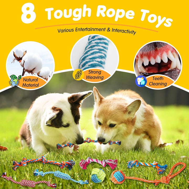 25 Pack Luxury Dog Chew Toys for Puppy, Dog Toys with Ropes, Treat Ball and Squeaky Puppy Toys for Teething Small Dogs