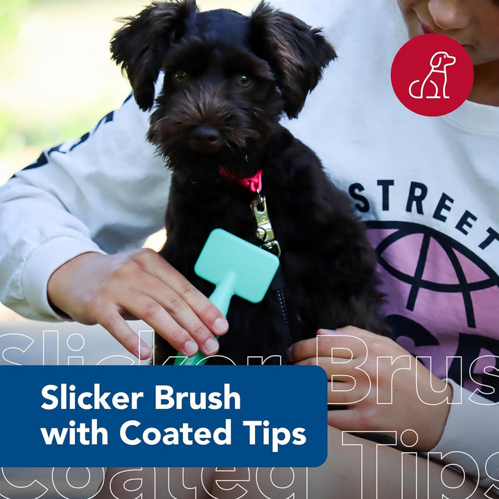 Pet Li'L Pals Dog Slicker Brush with Coated Tips - Dog Grooming Brush for Small Breeds & Puppies - One Size (3.25” X 7.25”)