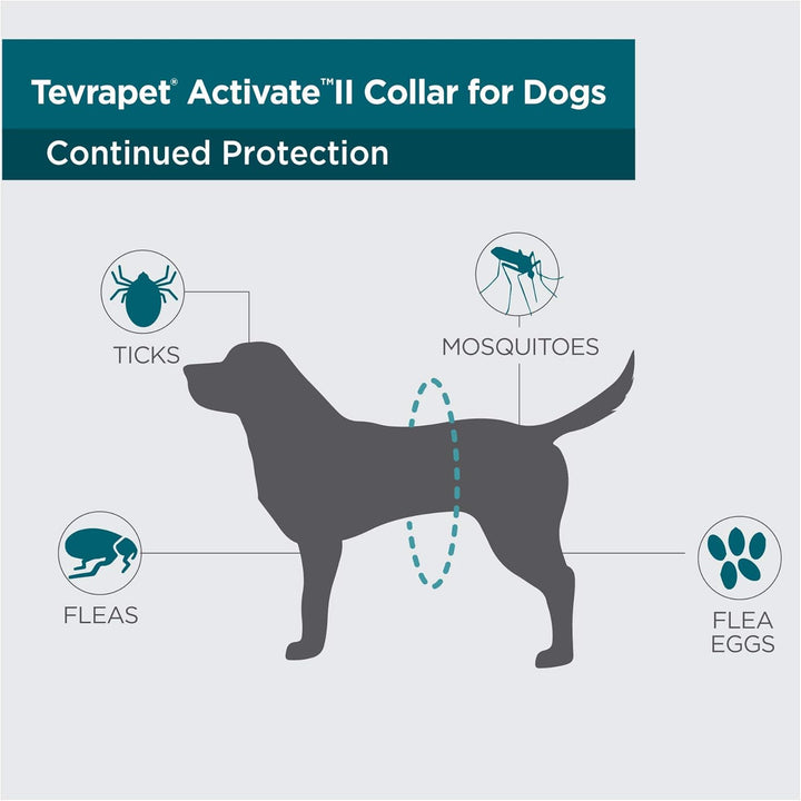 Activate II Flea and Tick Collar for Dogs, 12 Months Prevention, 2 Count, for Medium and Large Dogs