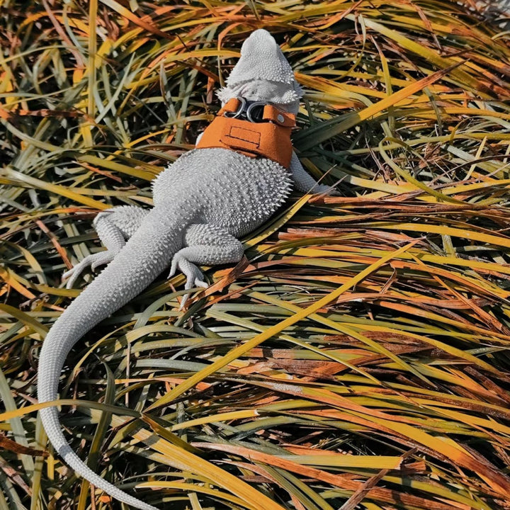 3 Pack Bearded Dragon Harness and Leash Set - Adjustable Soft Leather Lizard Harness Leash Small Animal Traction Rope Training Walking Vest Accessories for Reptile Squirrel Rat (Brown)