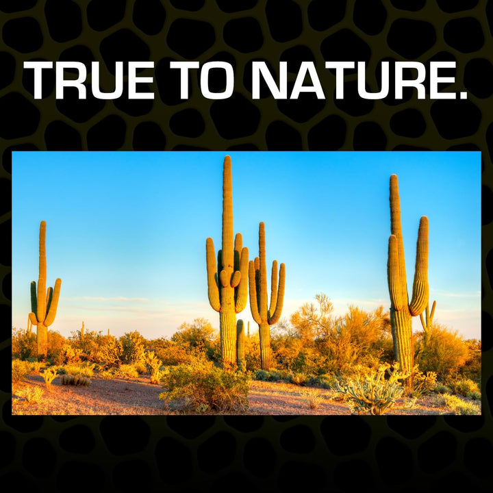 Desert Sand, 10-Pound, Red for All Breed Sizes