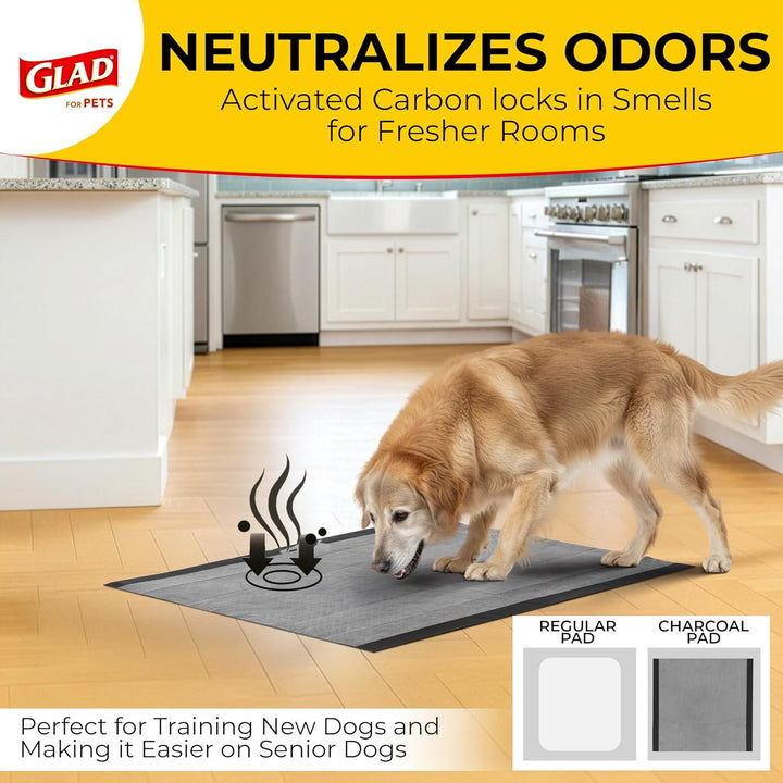 for Pets Black Charcoal Puppy Pads, 23"X23" Disposable Pee Pad That Absorbs & Neutralizes Urine Instantly, Activated Carbon Training Pads for Dogs - 100 Count