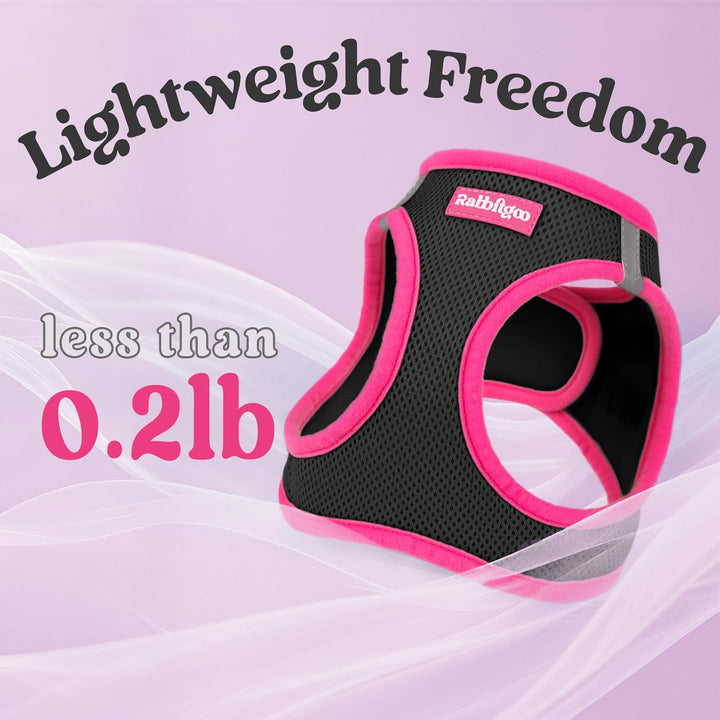 Dog Harness Small Sized and Leash Set, Step-In Breathable Pet Harness, Soft Walking Reflective Puppy Vest for Small Dogs, Black & Rose Red, S