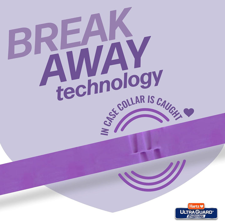 Ultraguard Promax Flea & Tick Collar for Cats I 14 Months Protection I Soft & Comfortable | Flea & Tick Prevention I 2 Pack