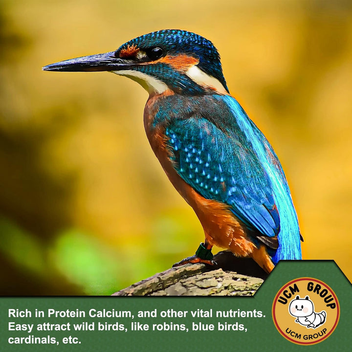 10LB Dried Mealworms for Wild Birds, Chickens, High Protein Organic Chicken Feed, 100% Non-Gmo for Chickens, Ducks, Turtles and Reptiles