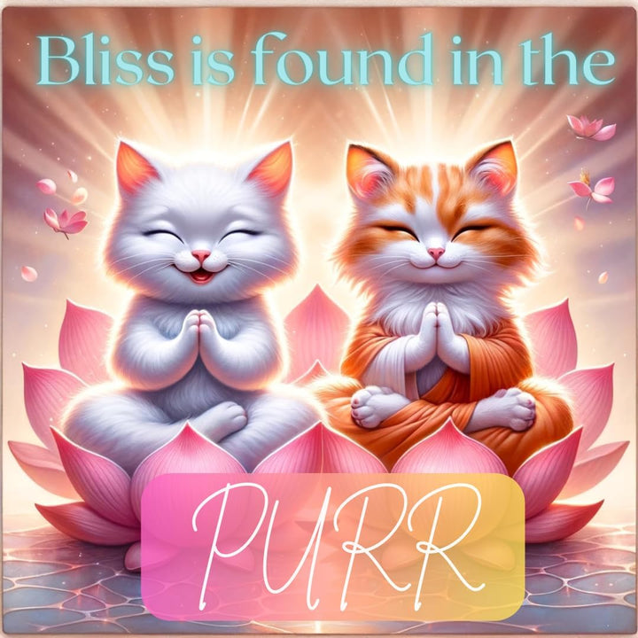 Catnip for Cats – 1Oz Jar - 100% Essential Natural Cat Nip Herb Resealable Jar - Fresh Aroma Stimulates Activity & Enhancing Play for Indoor Cats - Great for Cat Nip Toys, Play & Training