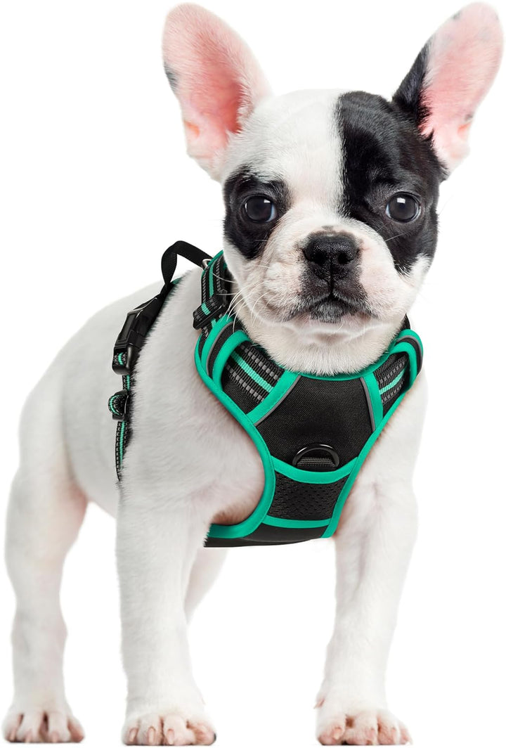 Dog Harness No Pull with 2 Leash Clips, Adjustable Soft Padded, Reflective Oxford No Choke Pet Vest with Easy Control Handle for Large Dogs, Black, L