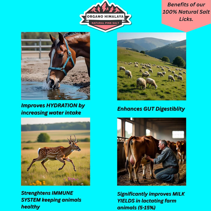 ® Himalayan Salt Lick on Rope 7.5-8 Lbs Each (Pack of 2) | for Horses,Deer,Goat,Cattle & Livestock | 100% Natural Mineral Rich Supplement | Sturdy Long-Lasting Block