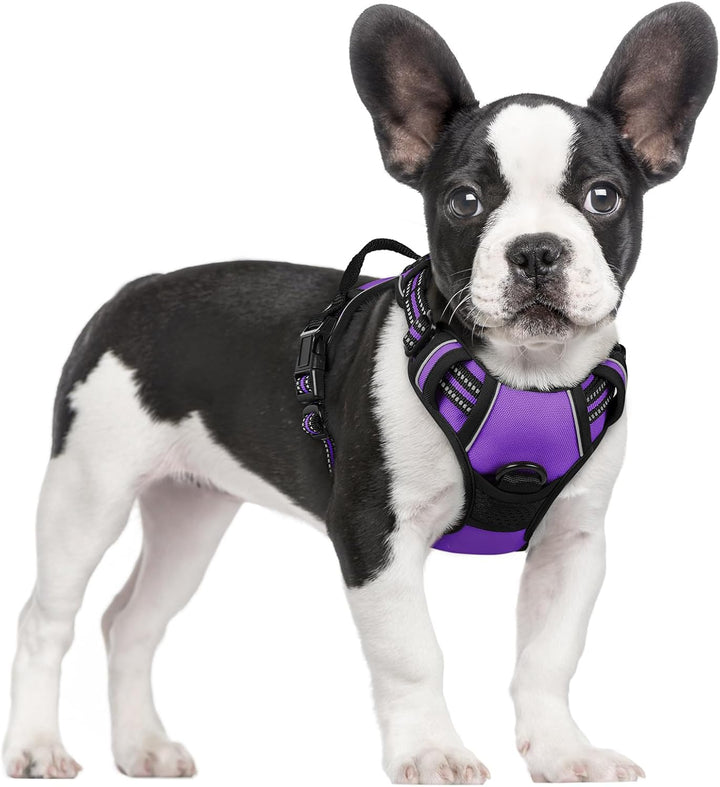 Dog Harness No Pull with 2 Leash Clips, Adjustable Soft Padded, Reflective Oxford No Choke Pet Vest with Easy Control Handle for Large Dogs, Black, L