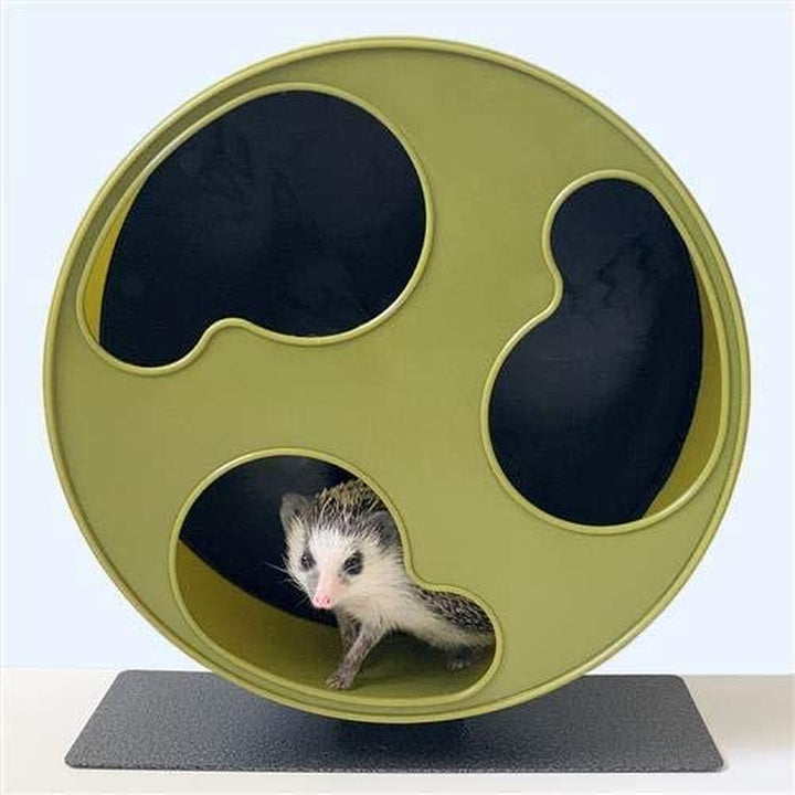 Silent Runner 12" Wide + Cage Attachment - Silent, Fast, Durable Exercise Wheel - Sugar Gliders, Degus, Rats, Hedgehogs, Prairie Dogs & Small Pets