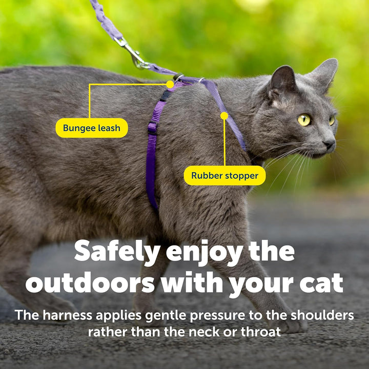 Come with Me Kitty Cat Harness & Bungee Leash - Comfortable No-Choke Harness with Lightweight Bungee Leash for Outdoor Fun - Escape Free Pulling Prevention - Medium - Lilac