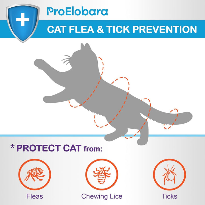 Flea and Tick Prevention for Large Cats: Waterproof Topical Cat Flea and Tick Treatment – Fast-Acting & Long-Lasting at Home Flea Control for Cats over 9 Lbs and 8 Weeks or Older – 6-Dose Supply