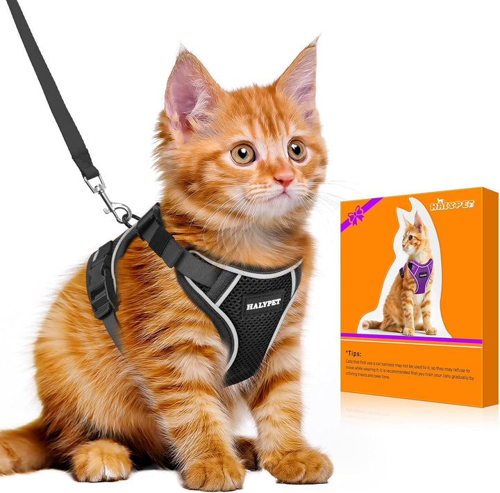 Cat Harness and Leash Set - MAX Safety 4Th-Gen Upgrade, Escape Proof, Adjustable, Comfortable Soft Vest, Easy to Wear Kitten Harness with Reflective Strip for Cats Walking - Small Black