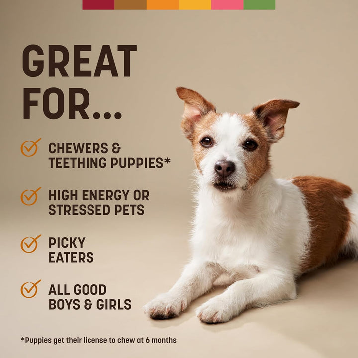 No Hide Small Long Lasting Dog Chew Rolls, Chicken - 6 Count