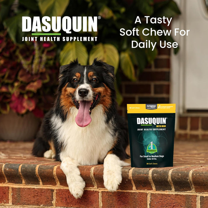 Dasuquin with MSM Soft Chews Small/Medium Dog 84 Count, Brown