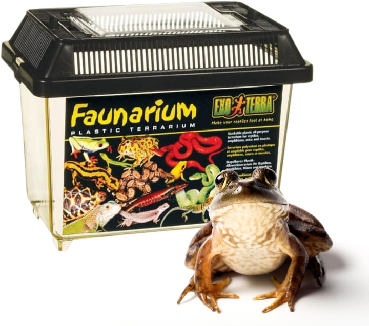 Faunarium, Plastic Reptile Terrarium, Medium, PT2260