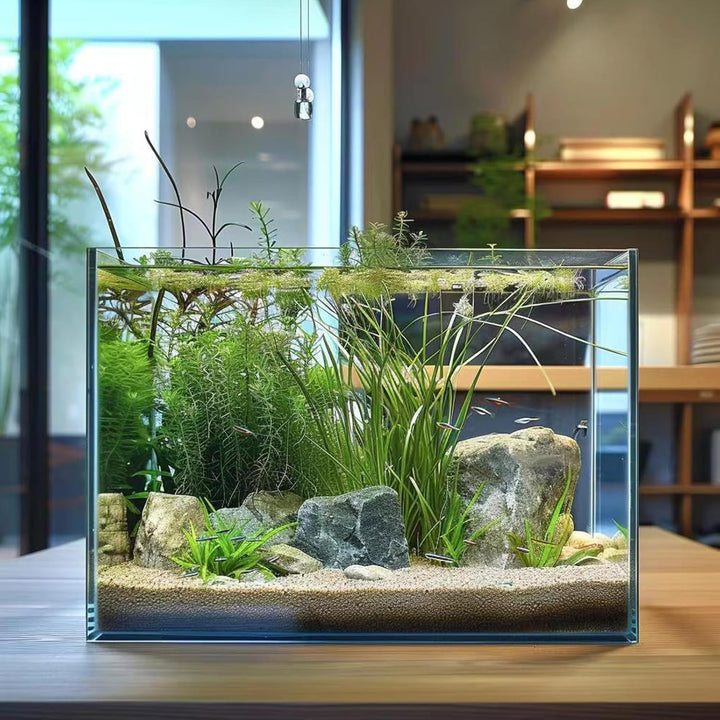 5 Gallon Glass Fish Tank, Easy to Maintain Small Aquarium for Betta/Goldfish/Snails/Shrimp and Aquatic Planting.