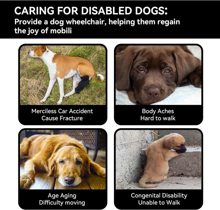 Dog Wheelchair for Back Legs,Adjustable Lightweight Aluminum Profile Pet Wheel Chair Has Added Hand-Carrying Assistance and Reflective Functions for Small Dogs and Cats