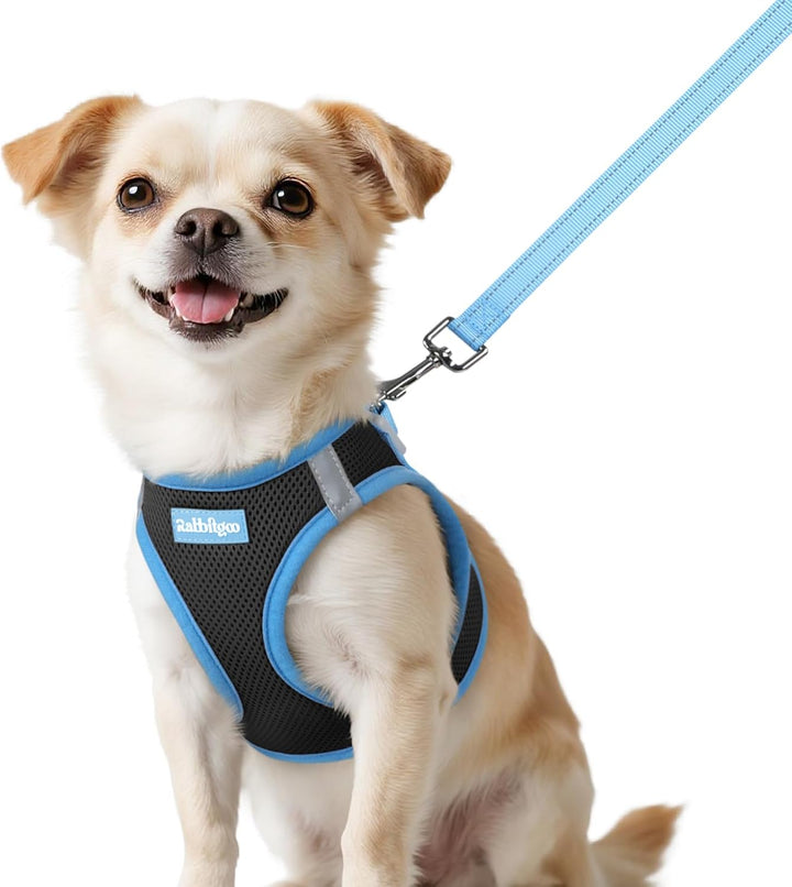 Dog Harness Small Sized and Leash Set, Step-In Breathable Pet Harness, Soft Walking Reflective Puppy Vest for Small Dogs, Black & Rose Red, S