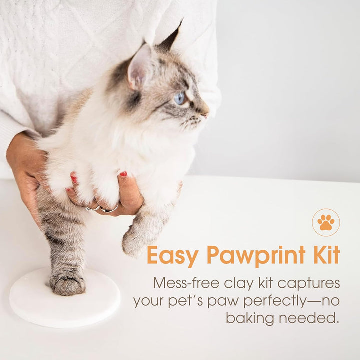 Pet Paw Print Photo Frame with Clay Imprint Kit - Wooden Pet Paw Print Frame, DIY Memorial Keepsake for Cats and Dogs, No Mess Clay for Perfect Pawprints, Ideal Home Decor and Gift, Black