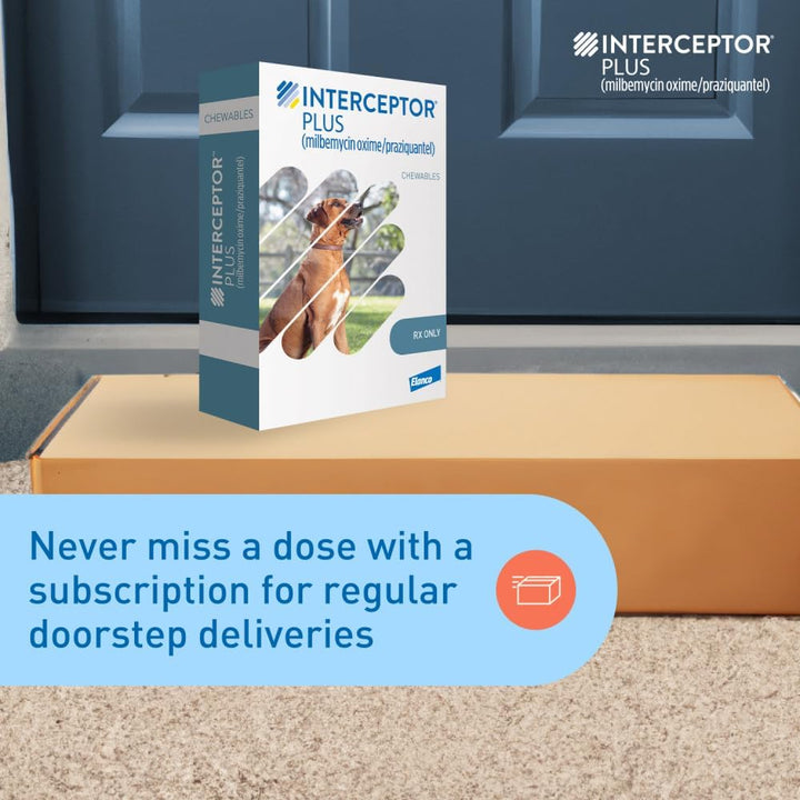 plus Prevention for Heartworm + 4 Other Worms for Dogs 50.1-100 Lbs. | 6 Chews, 6-Month Supply