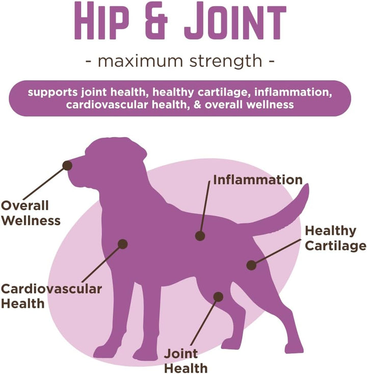 Dr. Joseph'S  Dog Hip and Joint Supplement, 120 Count, Chicken Flavored Pain and Inflammation Relief Chews with Glucosamine, Chondroitin, MSM, Turmeric, Vitamin C, Omega 3