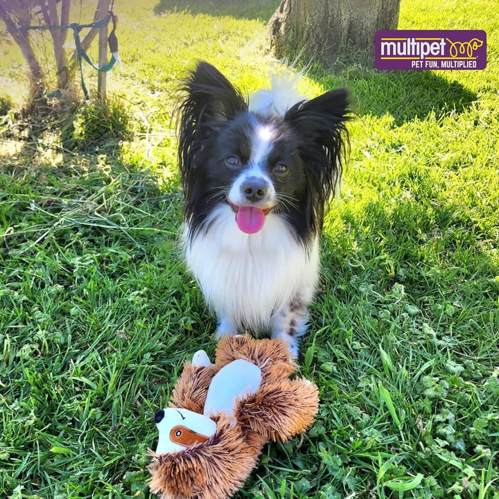 Bark Buddies Sloth Dog Plush Toy - Squeaky Dog Toy for All Dogs - Extra Soft Plush Dog Toy - Stuffed Animal Dog Toy for Cuddling & Playing - Cute Dog Pet Toy (10")