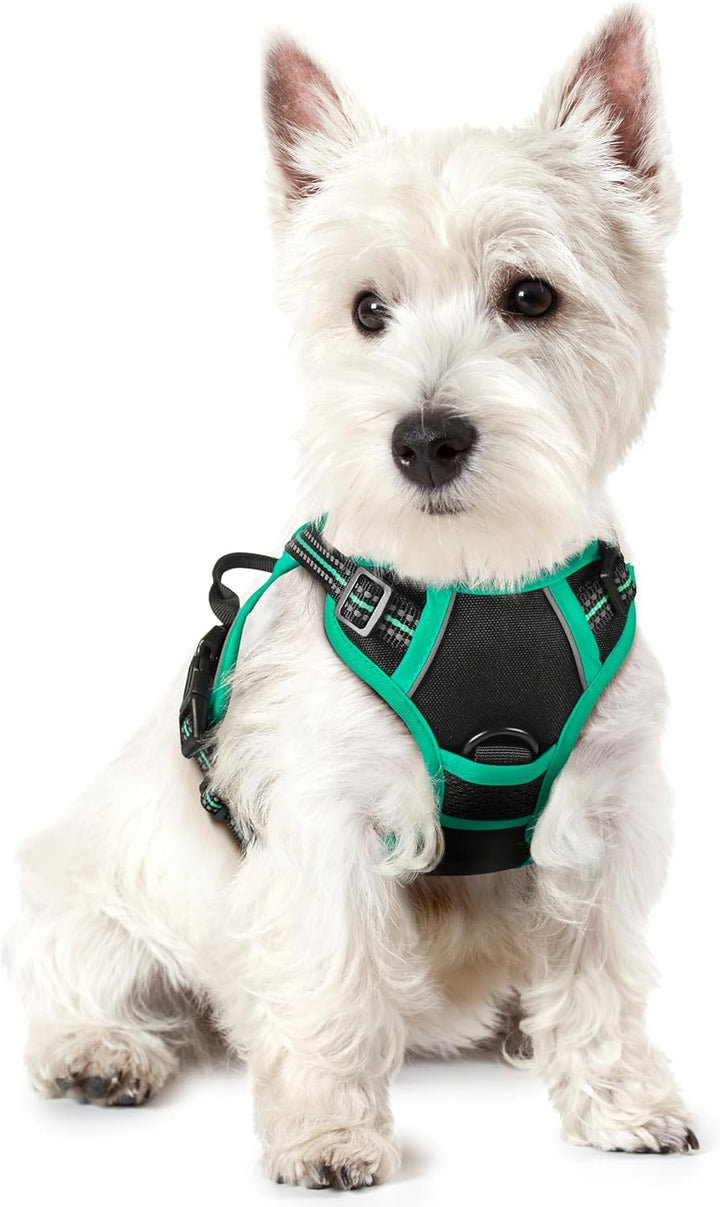 Dog Harness No Pull with 2 Leash Clips, Adjustable Soft Padded, Reflective Oxford No Choke Pet Vest with Easy Control Handle for Large Dogs, Black, L