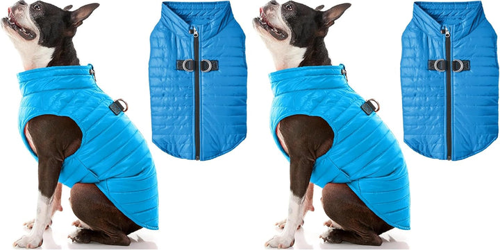 Boys Classic Puffer Dog Vest, Turquoise, Large Chest 20.75 US