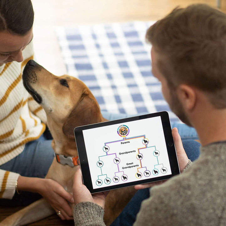 Breed Identification Kit - Most Accurate Dog DNA Testing Kit - 99% Breed Ancestry Accuracy for Mixed Breed Dogs - plus Relative Finder & Family Tree