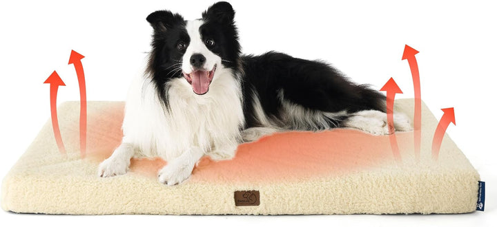 Dog Beds Large Sized Dog - Comfy Flat Pet Beds with Removable Washable Cover, Orthopedic Egg Crate Foam Puppy Mat, Suitable for Pet up to 65 Lbs