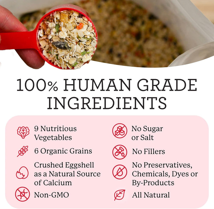 Canine Health Miracle Dog Food, Human Grade Dehydrated Base Mix for Dogs with 9 Vegetables and 6 Organic Whole Grains (10 Pounds)