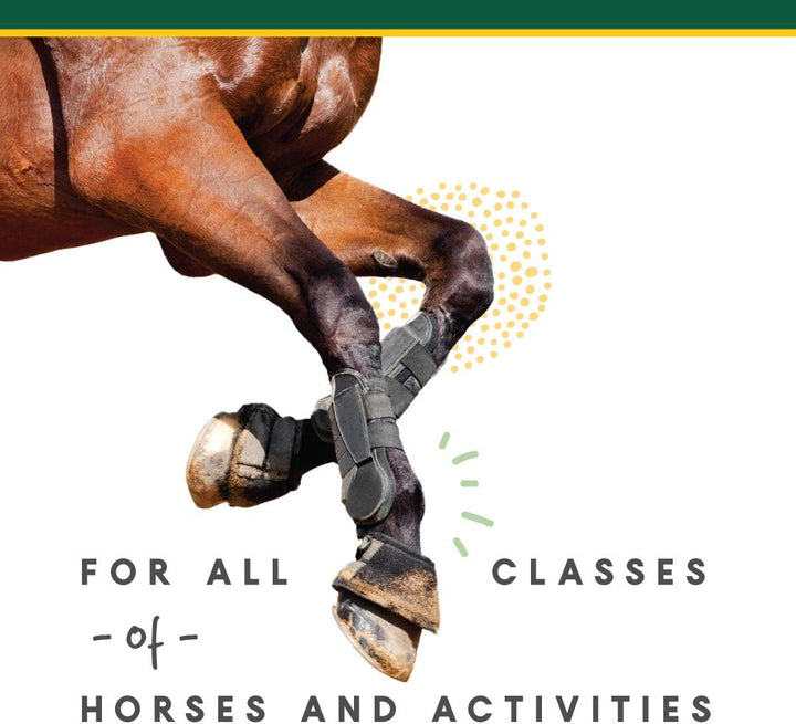 Corta-Flx Corta-Flex Equine Joint Supplement | Horse Supplement for Healthy Joints | Quick & Effective Nourishment to Joints Formulated with Vitamins and Minerals | 12 LB Pellet