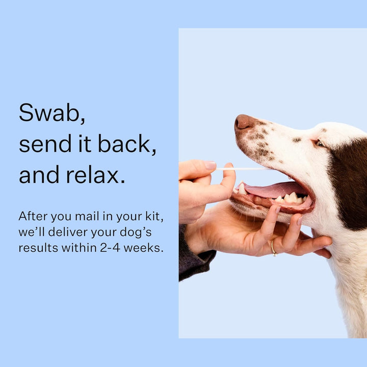 Panel Breed Discovery Dog DNA Kit: Most Accurate Dog Breed Identification, Test for 365+ Breeds, MDR1 Health Test, Ancestry, Relatives