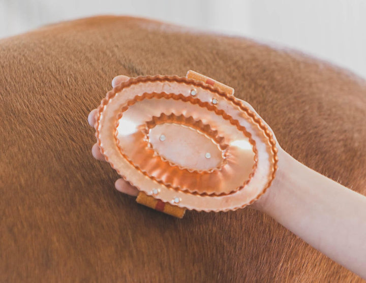 Oval Face Curry Comb Brush for Horse Grooming and Coat Care with Grip Handle