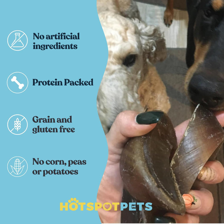 Full-Size Cow Hooves for Dogs (25 Pack) | All-Natural Long Lasting Dog Chews | Made from Grass Fed Cattle | Tasty Treat for Oral Hygiene | Fantastic Alternative for Rawhide and Bully Sticks