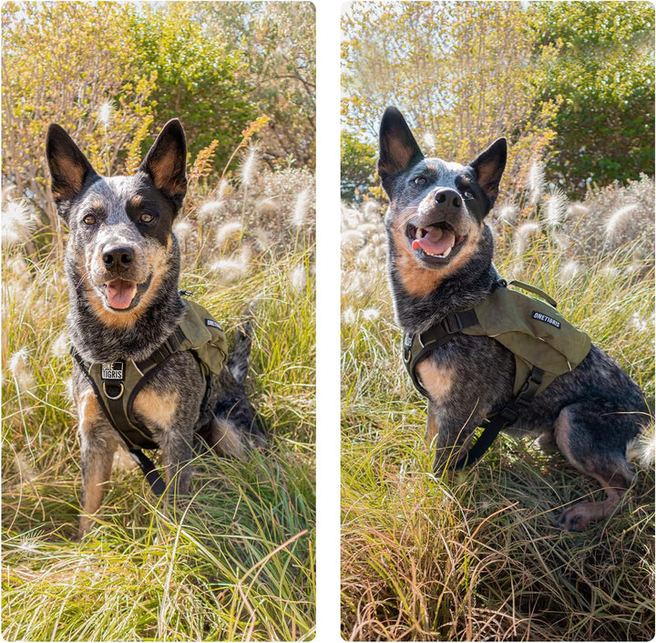 Y-Shaped Dog Backpack with Handle, Pockets & No Pull D-Rings, Lightweight Hiking Gear for Dogs Hunting Camping Travel (Medium, Green)