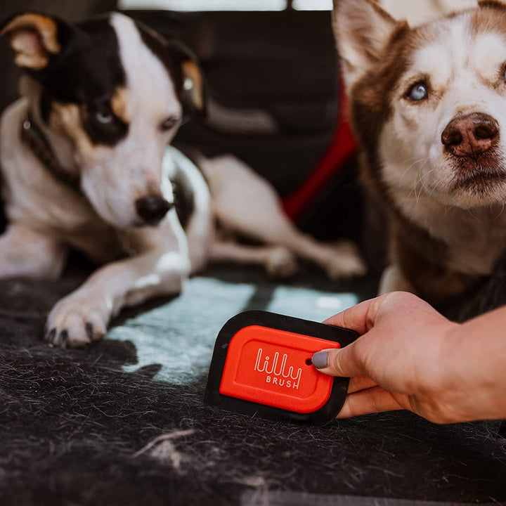 Mini Pet Hair Detailer | Reusable Fur Remover for Car Interior, Carpet, Couch & Furniture